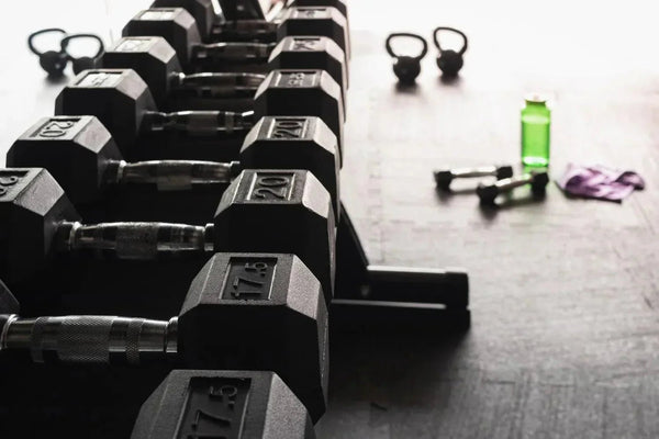 Resistance Bands — An Affordable Alternative to Gym Equipment - RARP-ID Fitness